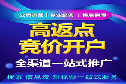 百度竞价广告的投放策略与成功案例分析